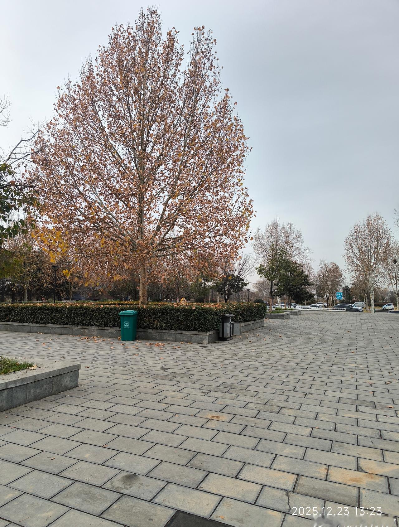 17岁少女1年打赏主播40多万元还是家长太有钱，话说现在好多年轻人都喜欢打赏主播