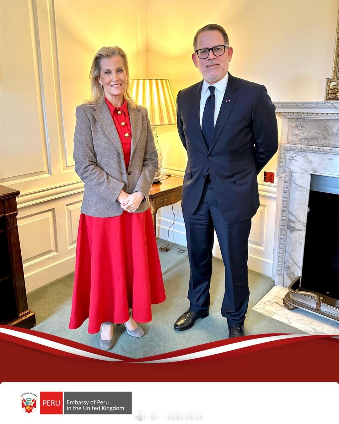 英国王室  2026年1月27日，爱丁堡公爵夫人苏菲在伦敦圣詹姆斯宫接见秘鲁驻英
