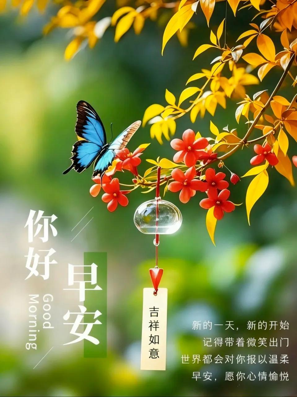 ²⁰²⁶/₀₈.₂₀ 周四｜一键复制发⭕，愿清晨的阳光，温暖你一整天☀️✨
① 