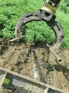 地里至少得留一半吧！🥲