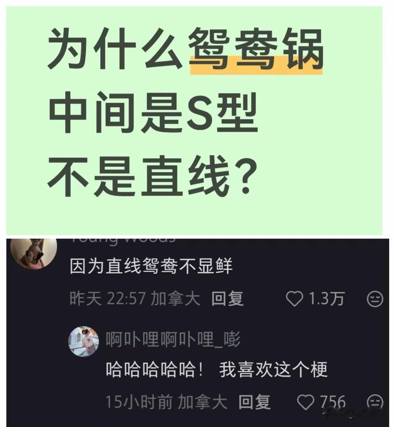 直线鸳鸯不显鲜：一句谐音梗，把汉语的浪漫和烟火气全玩明白了！

刷到一个帖子，问