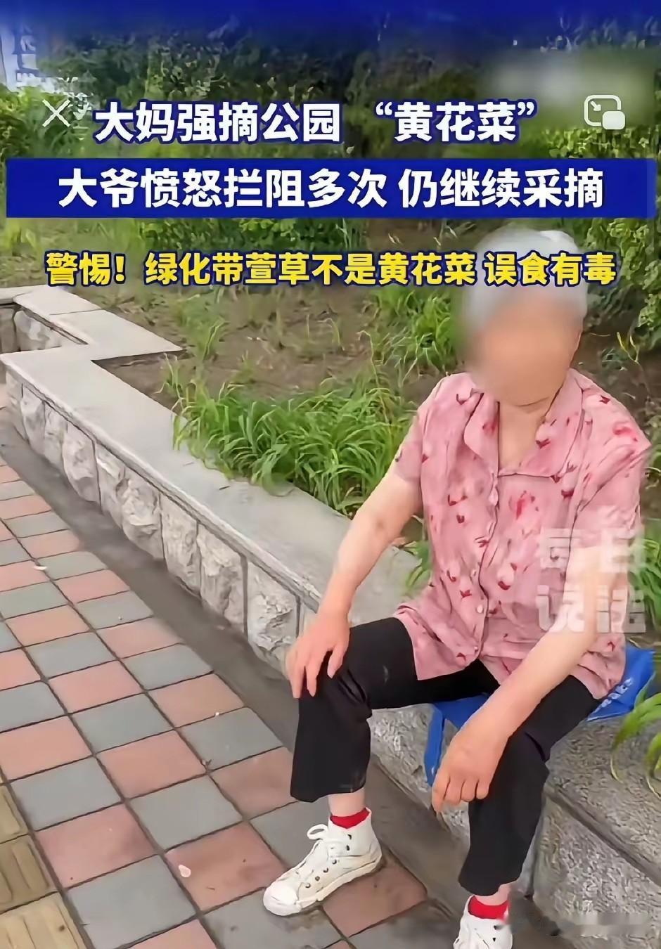 《干津武清》6月16日，一位大妈在公园里强摘“黄花菜”，被一位大爷多次劝阻，大妈