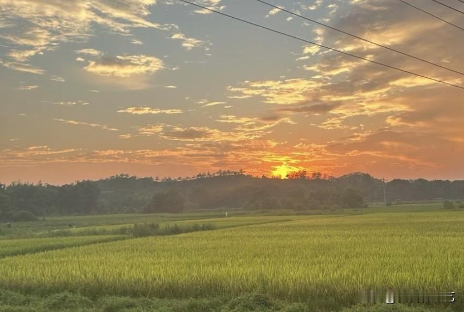 夏日生活打卡季霞云裹着金芒漫过天际，稻浪浸在暖光里轻伏。风掠过时连暮色都染了柔，