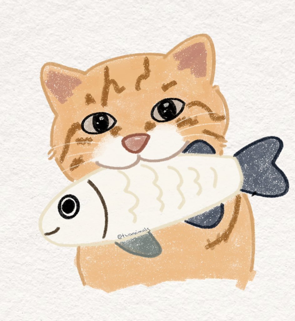 ⠀ ​​​
