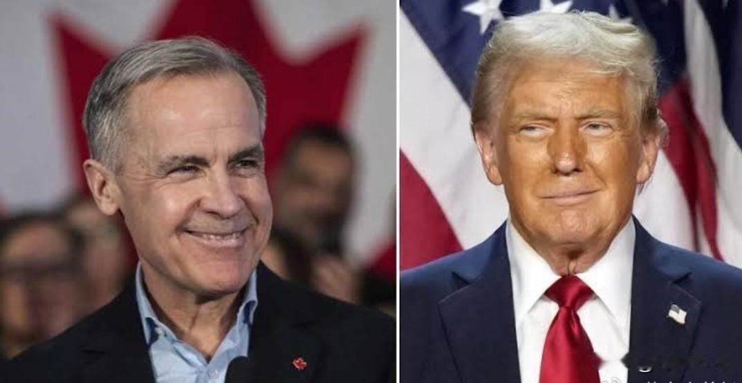 加拿大总理马克·卡尼：

“面对来自海外的经济威胁，加拿大人选择专注于我们能够掌