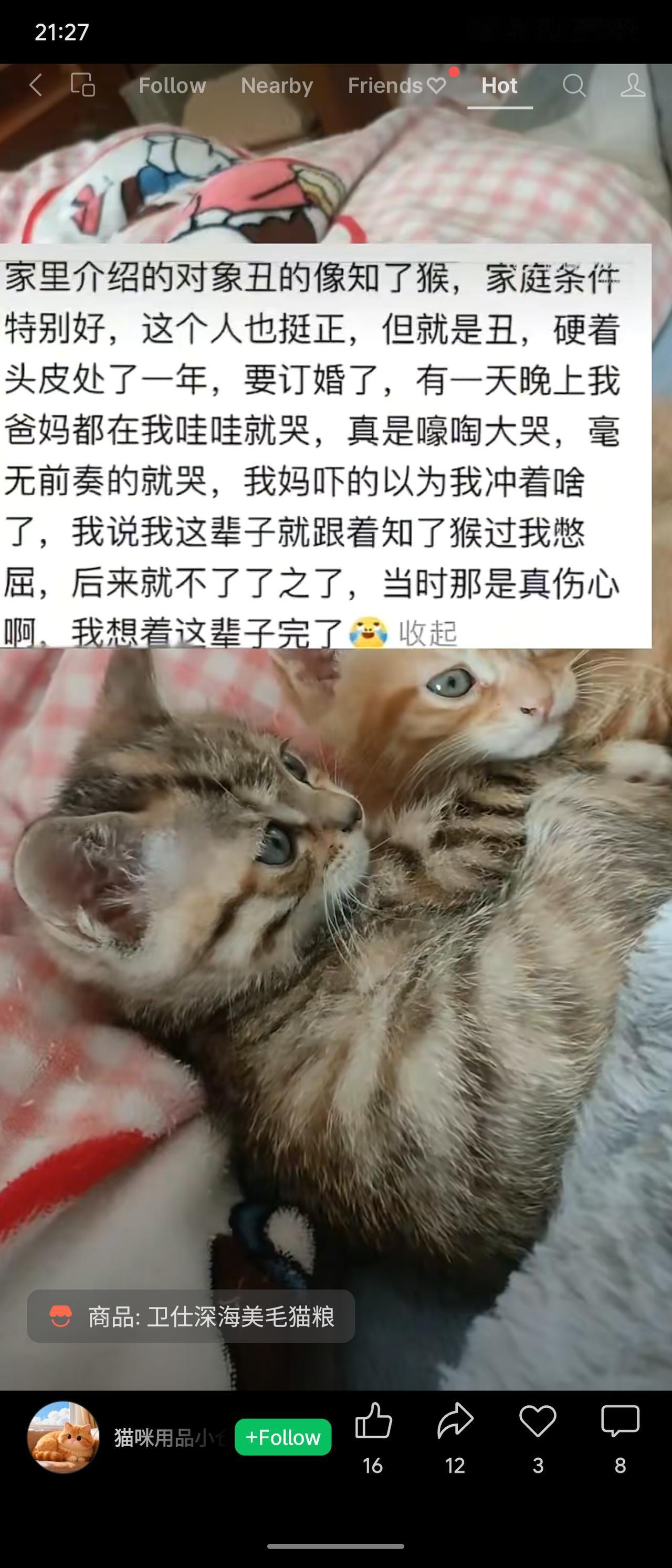 家里介绍对象长得像“知了猴”，虽条件好、人品正，但外貌实在难接受。硬撑处了一年，