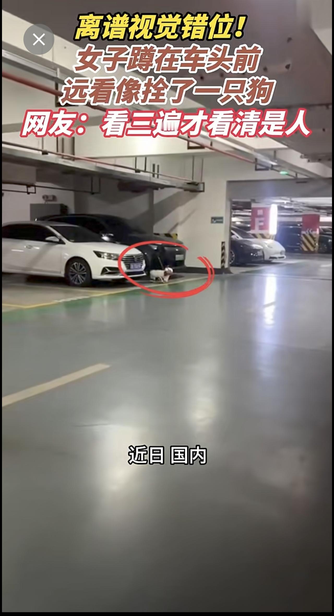 离谱视觉错位！女子蹲在车头前，远看像拴了一只狗，网友：看三遍才看清是人[捂脸][