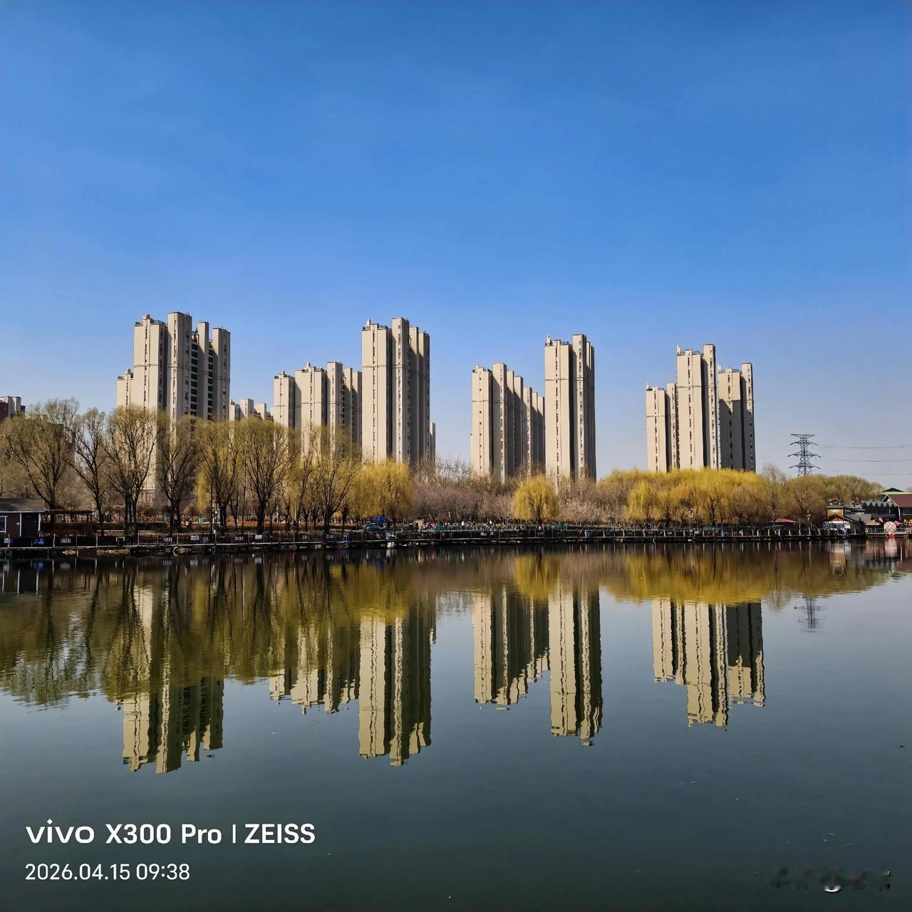 长春青年公园随手拍。
【原创\图文】
平湖绿水映楼台，
岸柳垂丝飘入怀，
波光粼