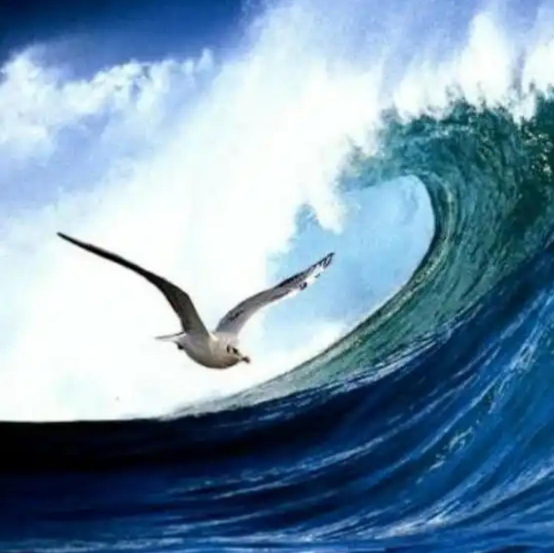 10月26日，大鹅1号亲自宣布，日前成功试射“海燕”核动力巡航导弹，该导弹可持续