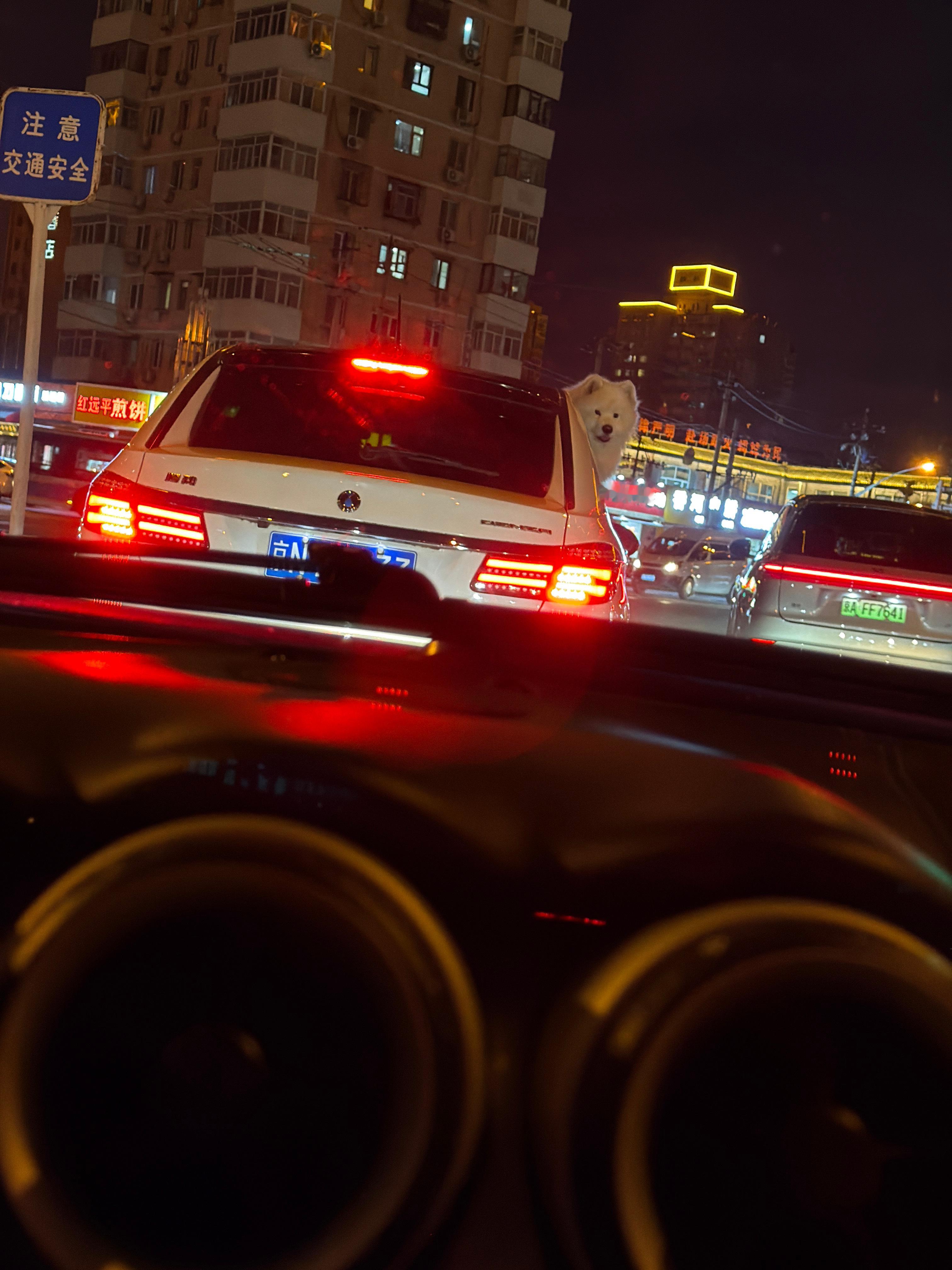 滴滴：狗：你滴啥❓梦想家ALI