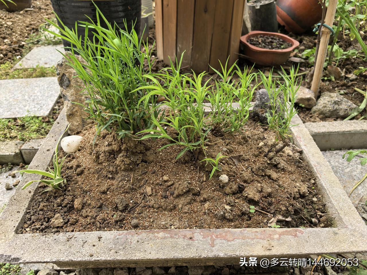 一个女性真正的觉醒是意识到，被爱没有那么重要，你终其一生追求的是幸福，不是被爱。