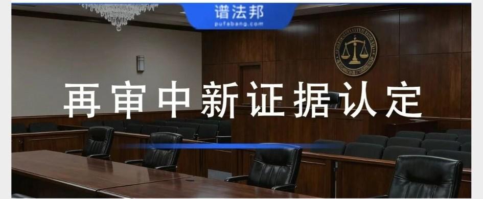 本文围绕民事再审新证据认定展开，结合《民事诉讼法》第207条，梳理实务难点、法定