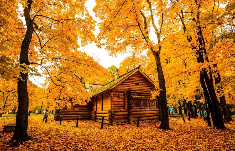 一张图证明秋天来了