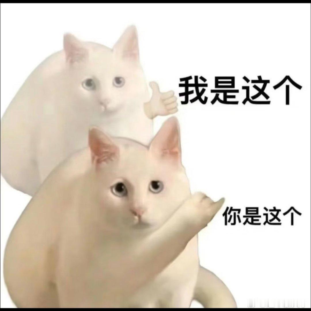 抽象表情包 ​​​