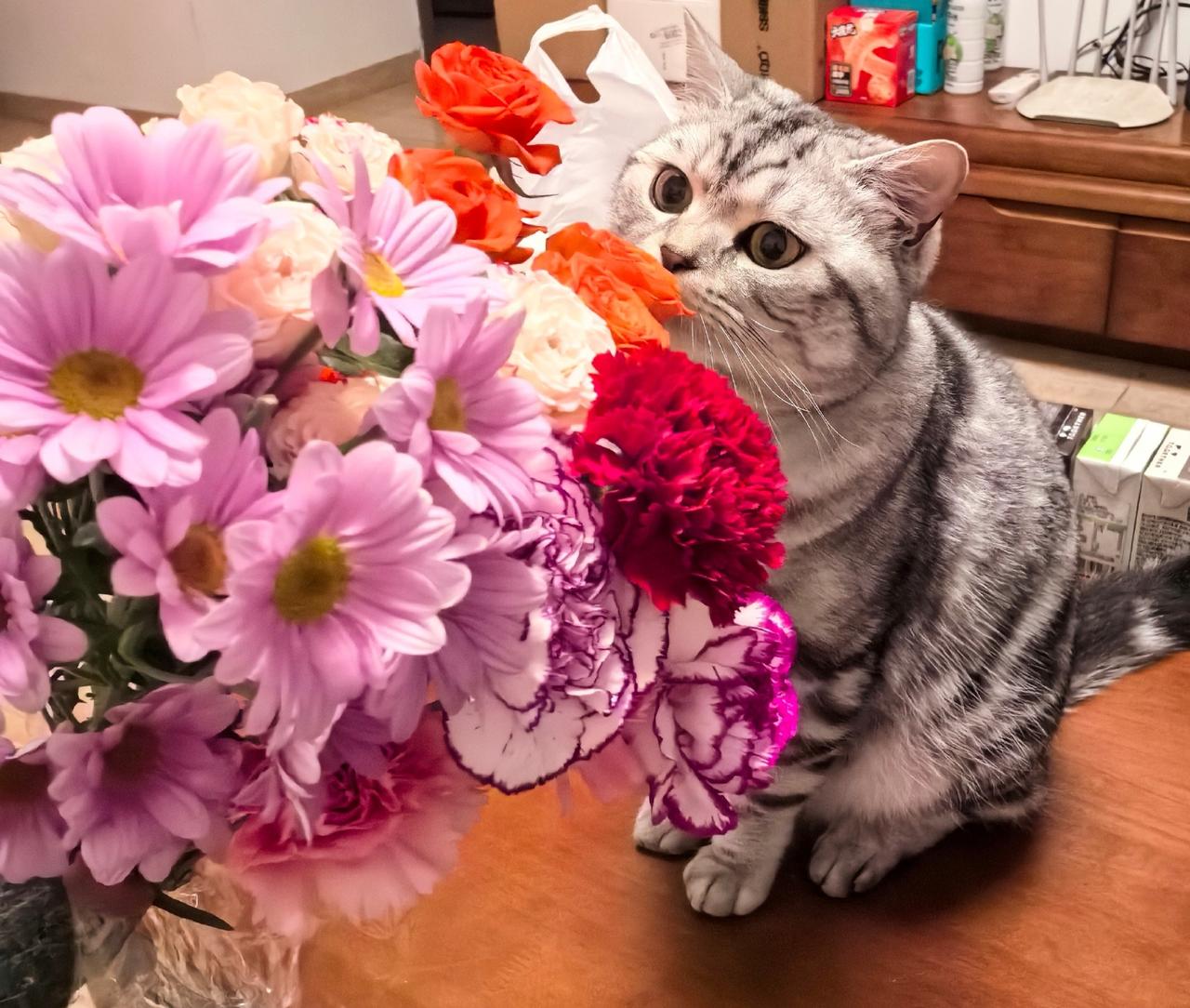 有时感觉自己太过度较真，爱操心。

其实细想这是一种心理缺陷，内耗自己。
总喜欢