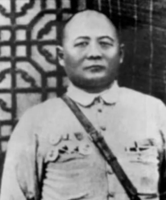 1934年，吉鸿昌遇难，妻子花了8万大洋赎回他的遗体。然而，不久后，妻子竟然疯了