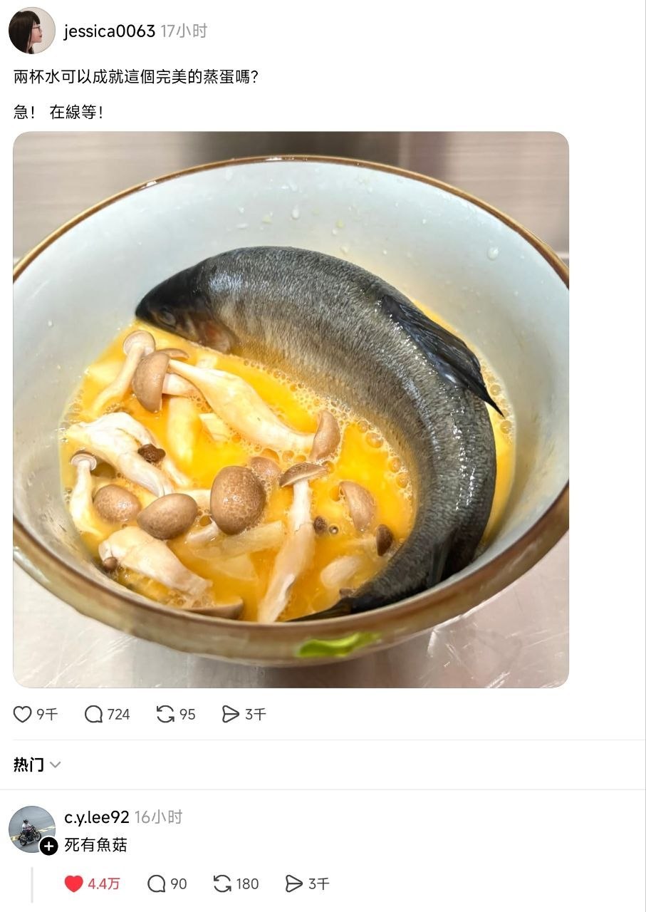 鱼白死了 