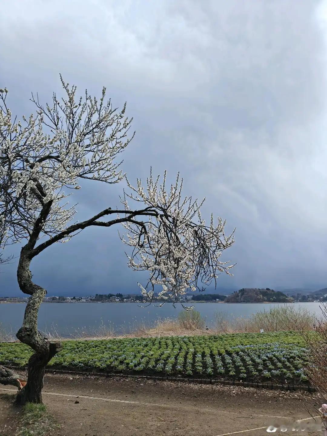 谈谈我接融日本人的感受
本人是一个工厂的业务，有时候也会接一些日本的订单和客人，