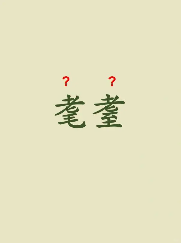 今天来学习—— 耄耋