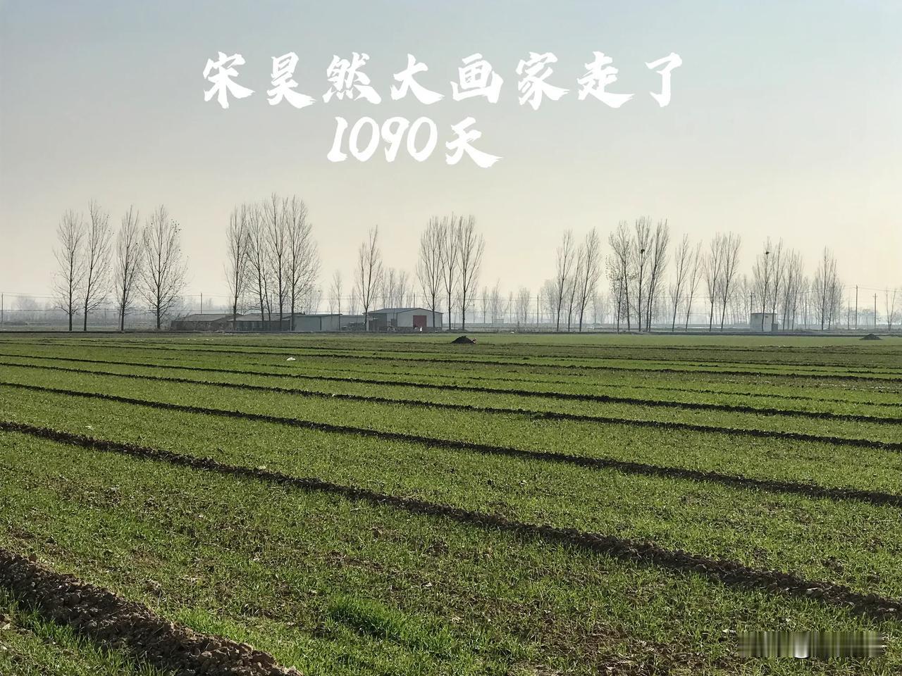 （1090）：孩子这一程，太短！田野里，一座孤坟，无声诉说。走了1090天，就要