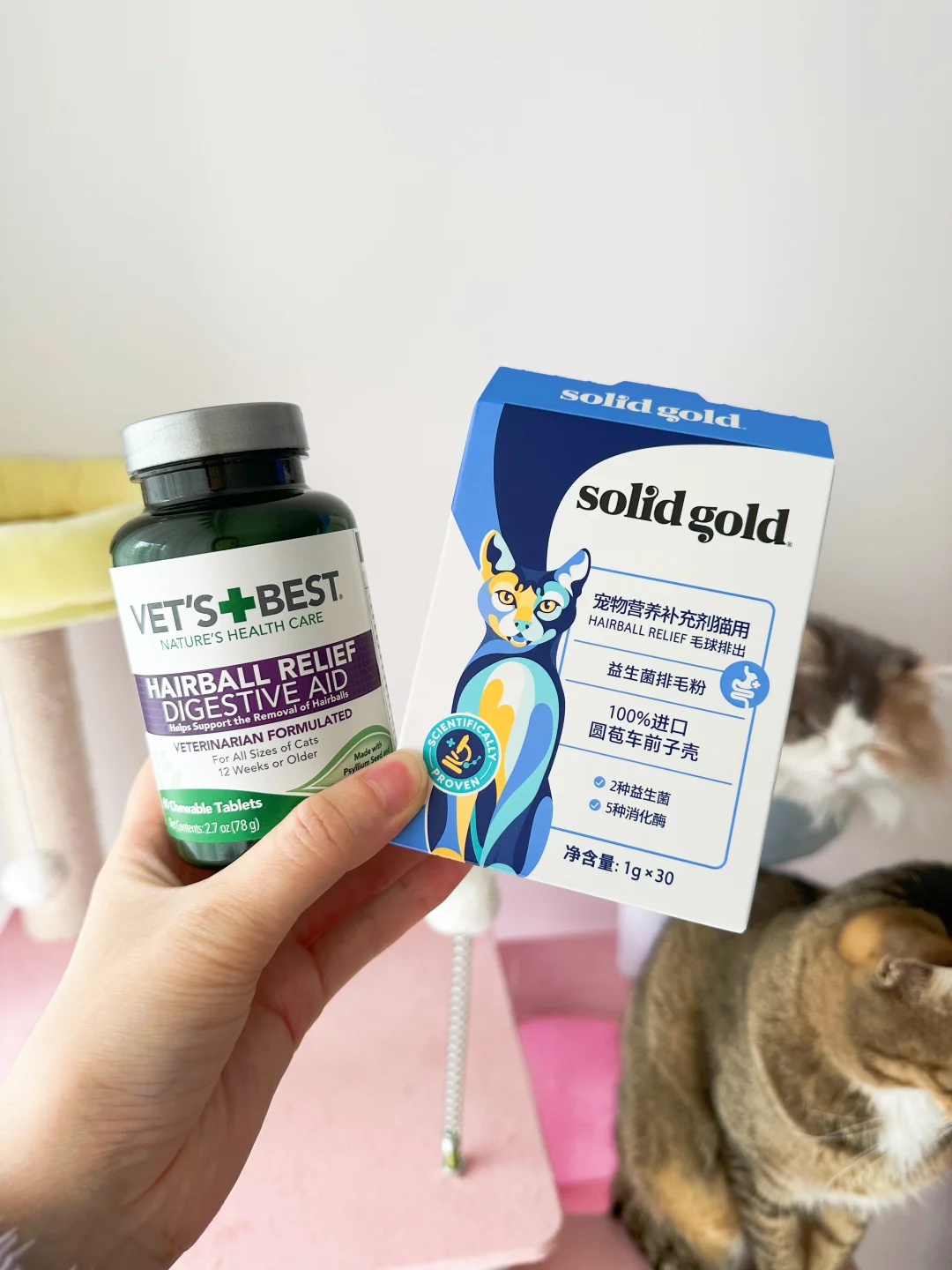 跟风入的化毛片，真的栓Q了