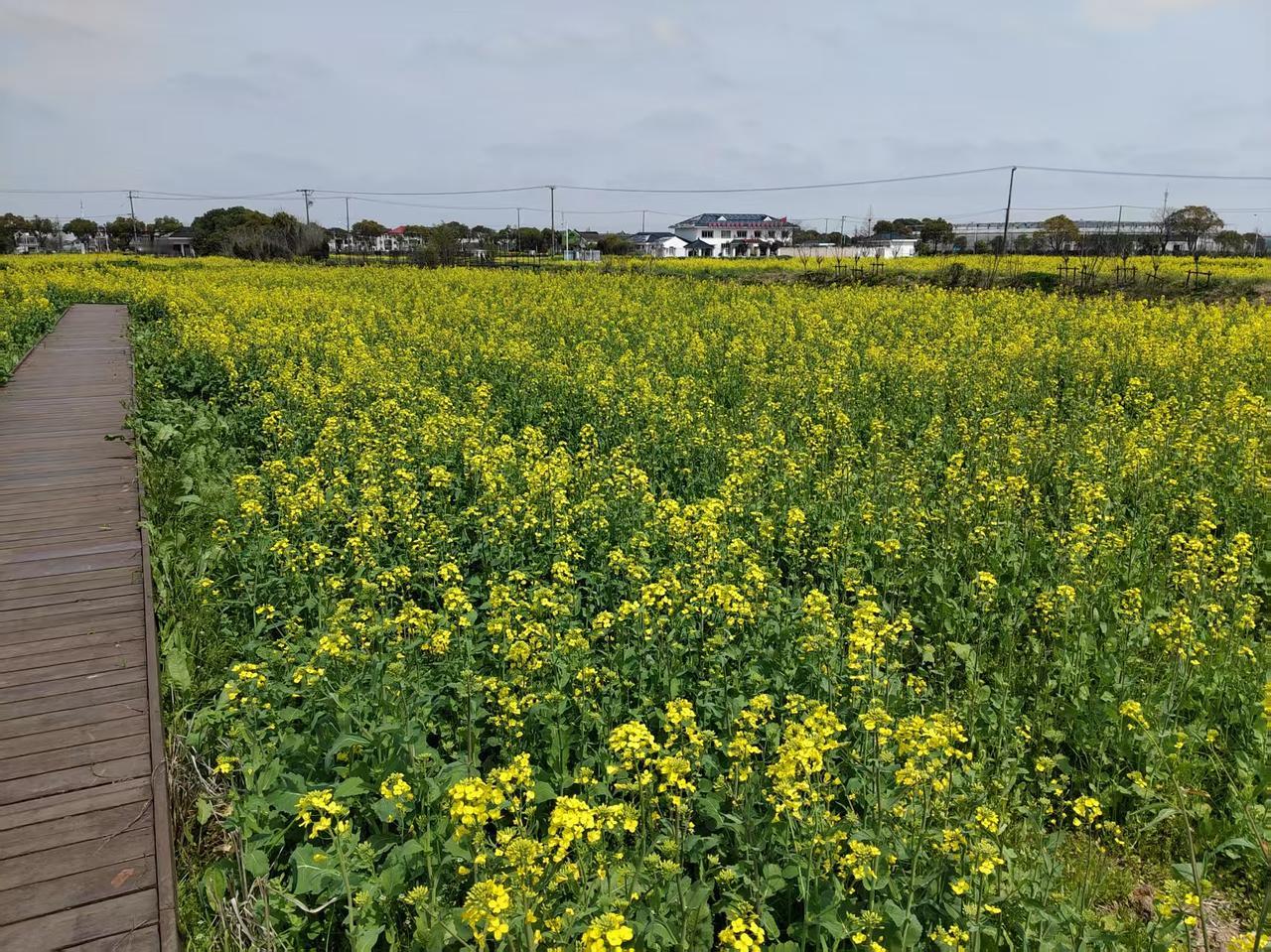 分享手机里随手拍的风景照