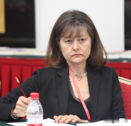 欧盟，请别装腔作势装模作样了！这样作秀，不好！
4月15号，西班牙学者达西安娜·