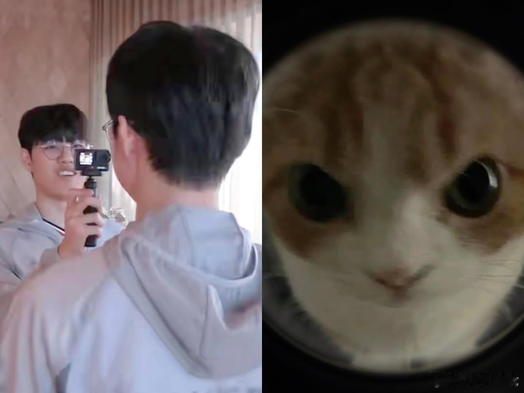 在对方的视角下看就是这样可可爱爱的🐯🐈⬛cr.k_scd92026lck20