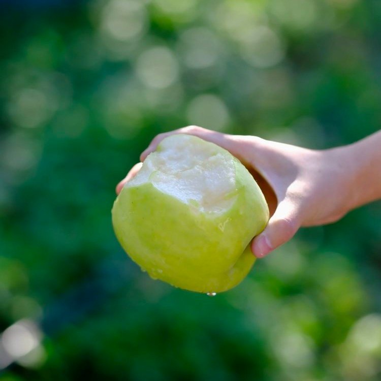 【今日小店水果推荐】1、国货苹果之光【陕西白水瑞雪】比富士香气成分多17种，自带