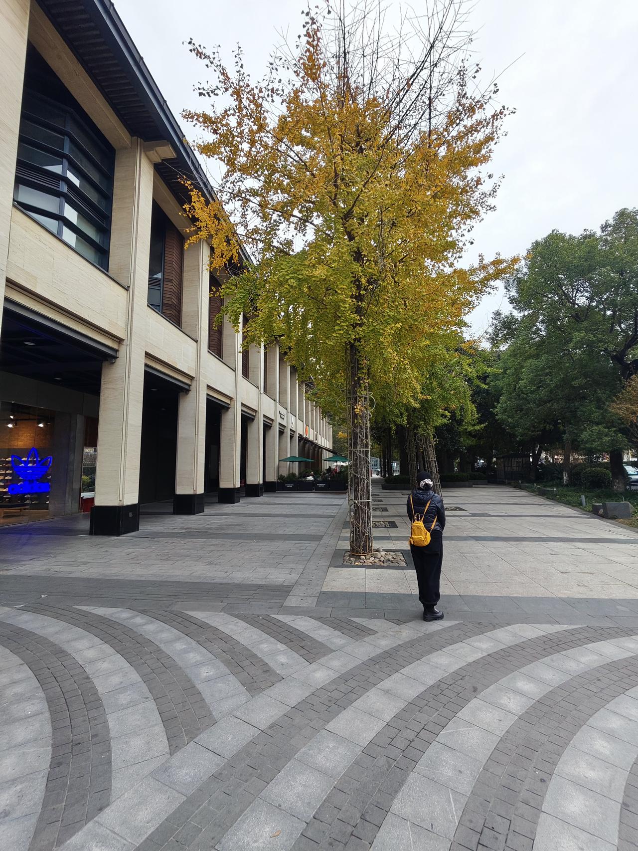 虽然还没有到圣诞节可杭州很多商铺和街头已经有了圣诞节的气氛，可爱毛毛熊竖立在广场