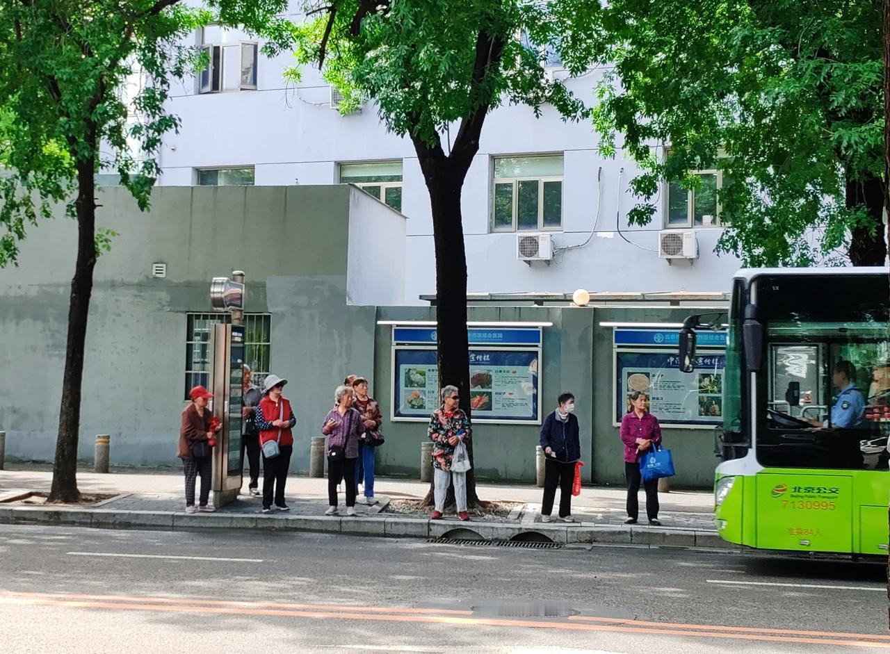 刚路过公交站，眼一瞟乐了——一排爷爷奶奶占满了站台，红帽子、花衬衫、布袋子，活脱