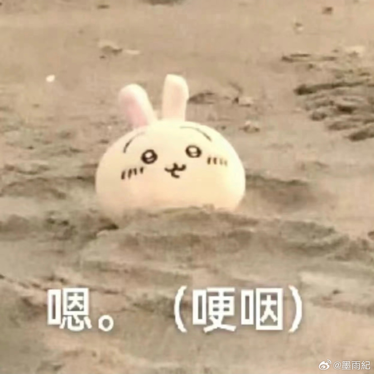 卧槽张桂源特码真的是神童。。作曲天才。。宝姿你听我说，这次真的不一样这个demo