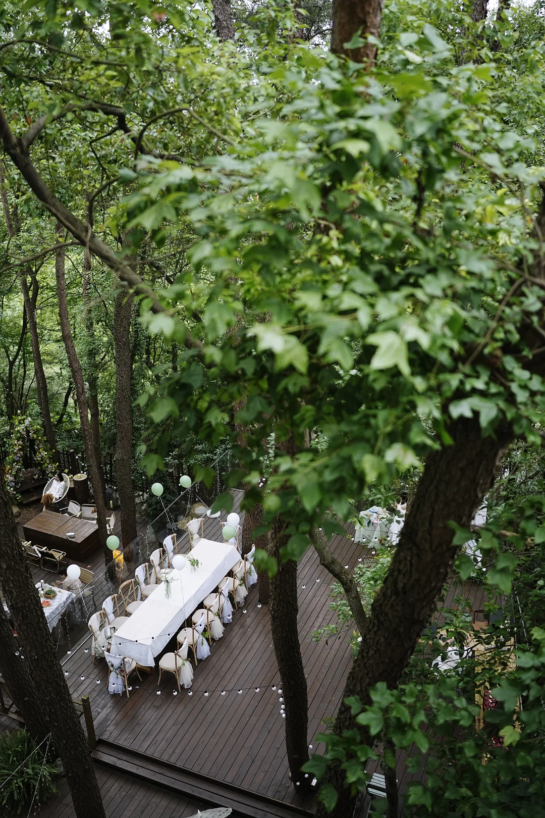 百亩森林酒店🍃招募合伙人