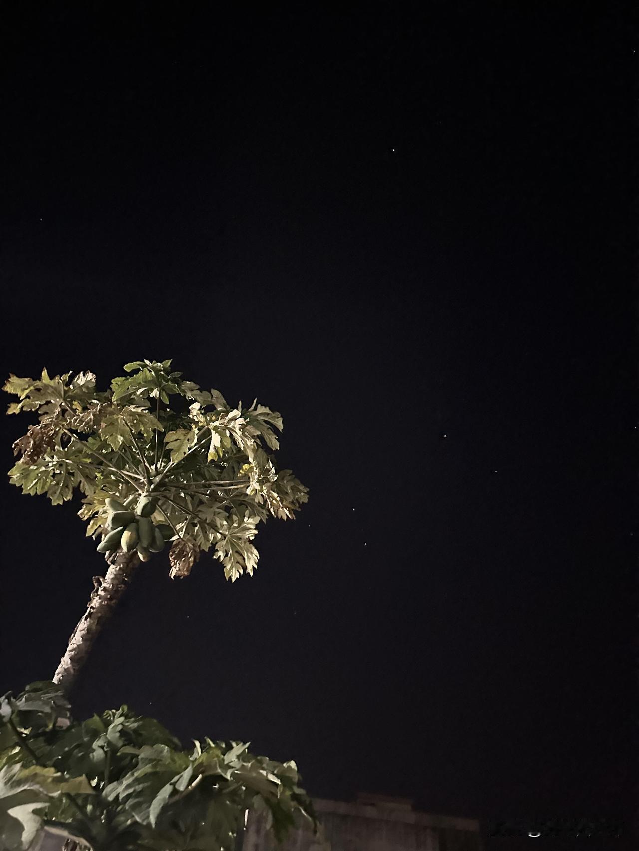 初二回娘家，我在下午三点被催着走
初二回娘家，礼品是我自己去超市买好的，他家什么