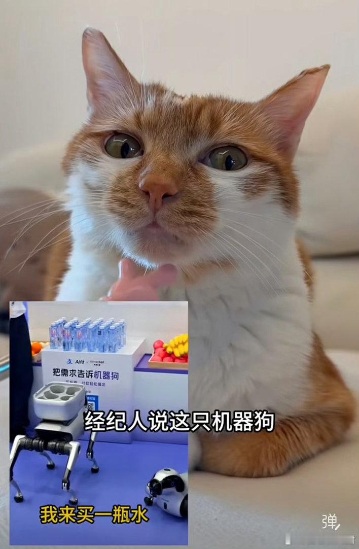 支付宝辟谣狗腿付 看完机器狗付款的视频，我的脑洞直接打开。AI和支付结合，真的能