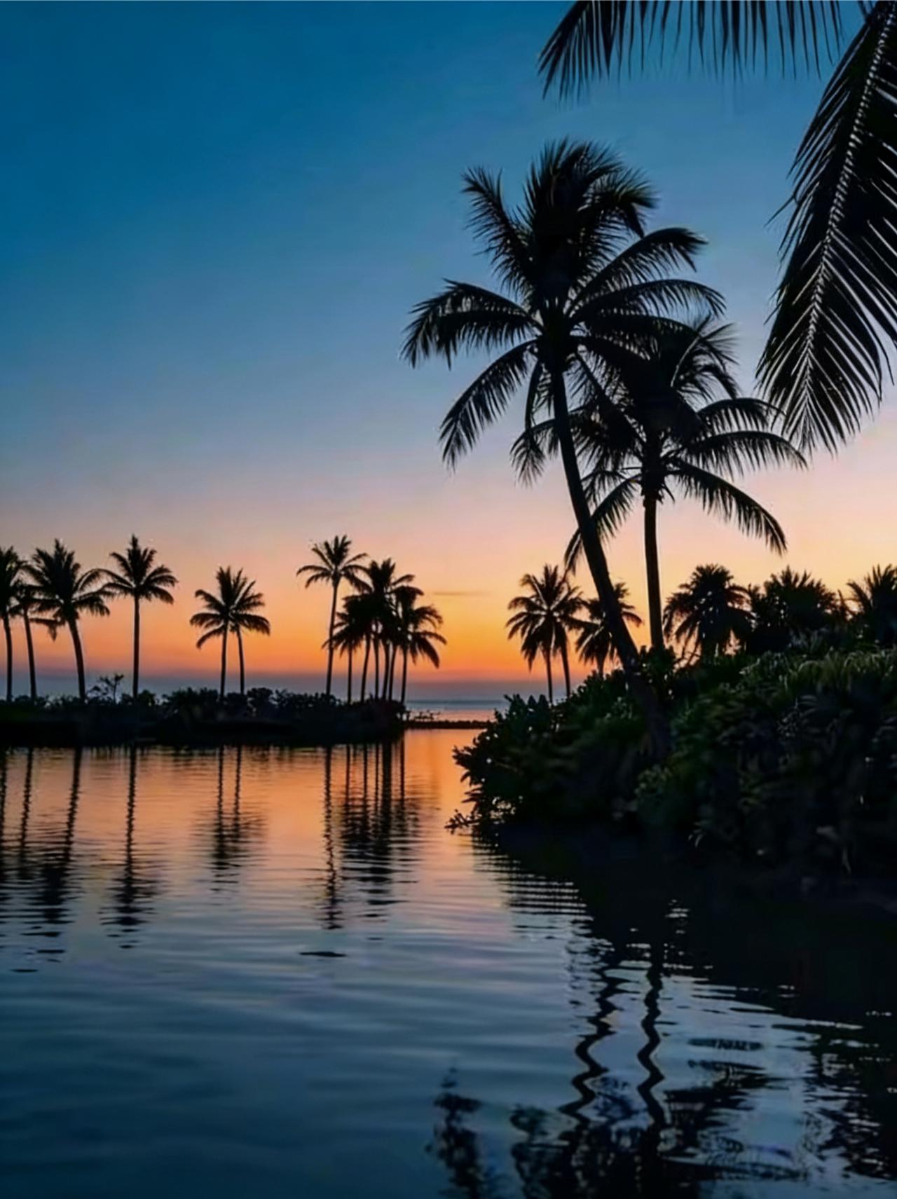 分享一张最近随手拍的照片