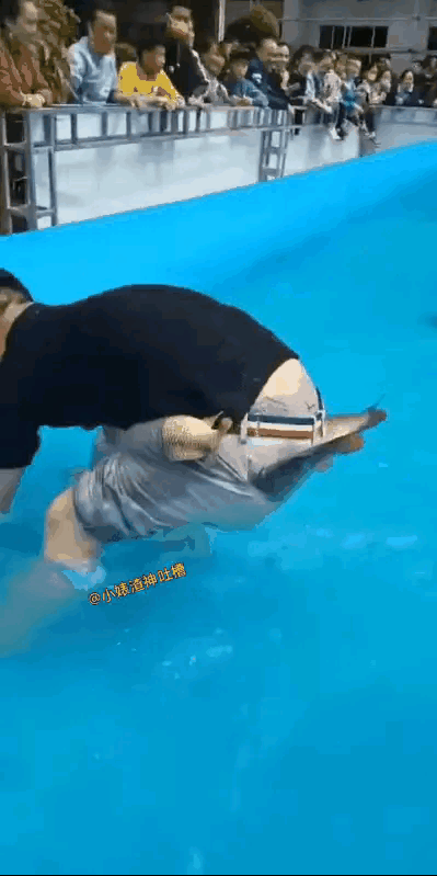 小哥为何要让人手下留情？