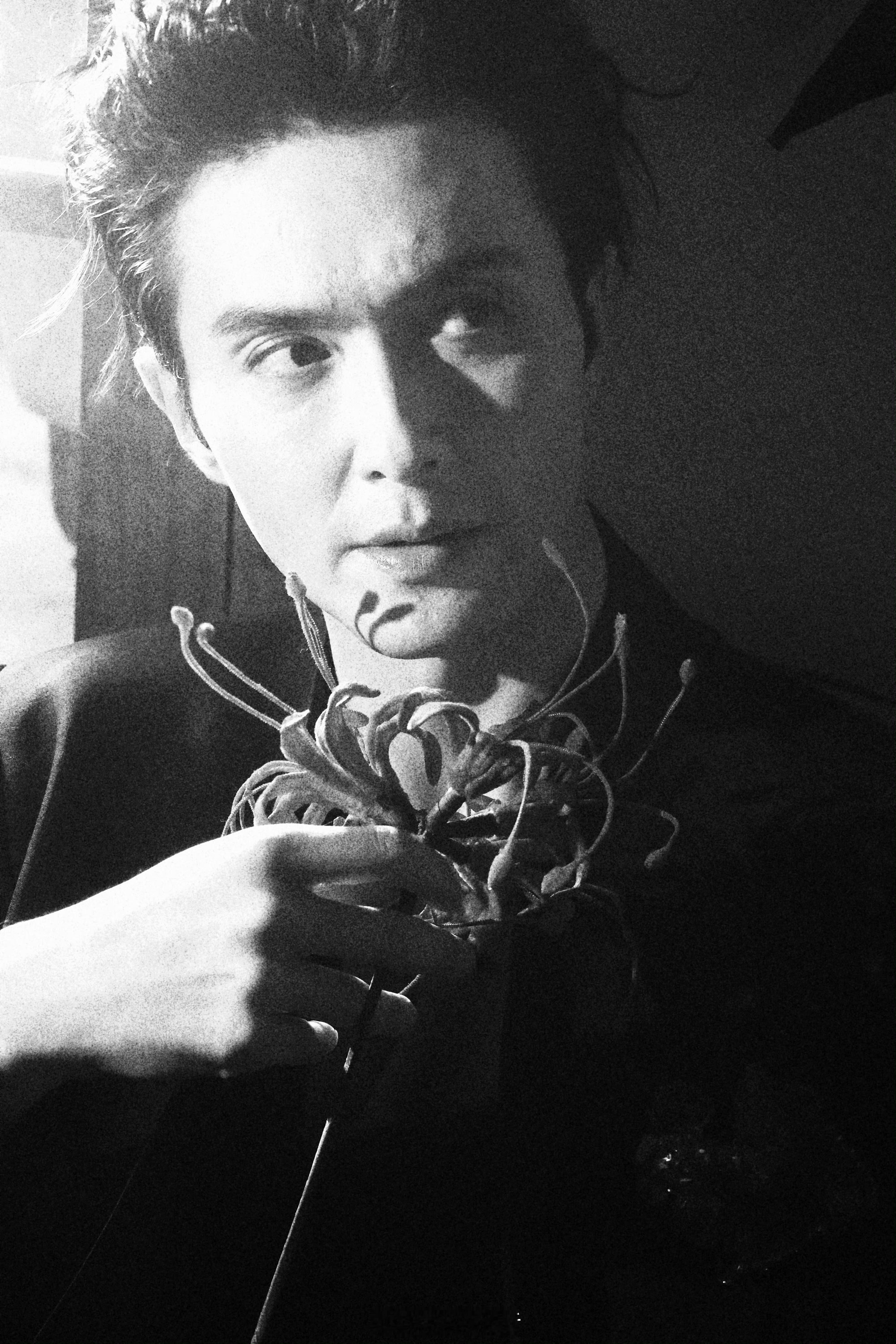 老房子着火熏的高伟光点着的是我 高伟光现在戏路其实挺聪明的，鹧鸪哨出圈以后，一边