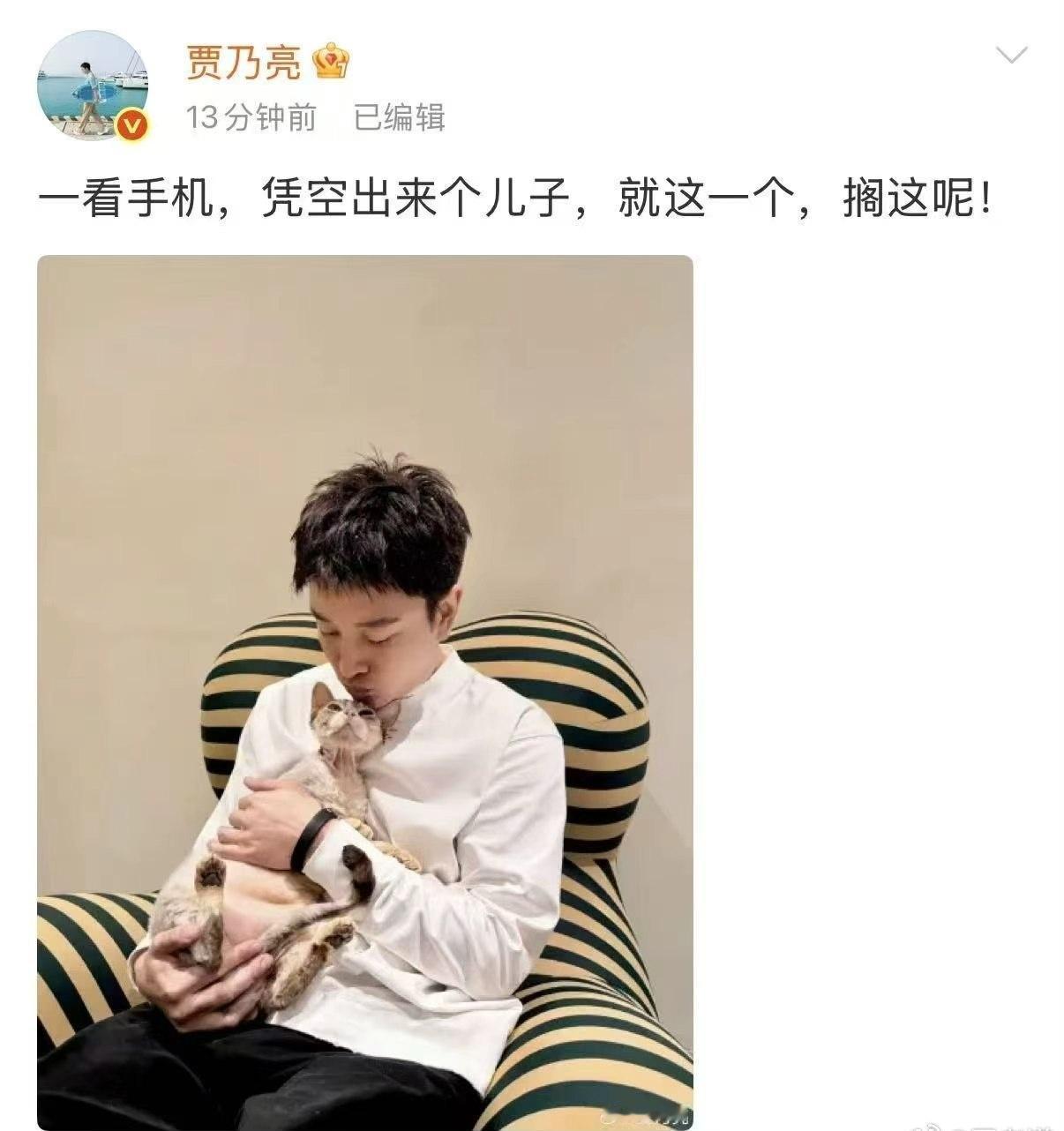 贾乃亮快速下场澄清传言，这场热搜只是一场乌龙，大家口中的儿子就是他家小公猫，不要