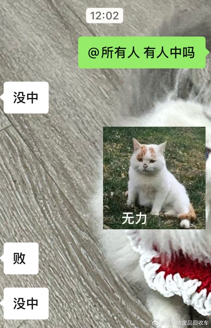 蔡徐坤  为了庆祝中奖发一波🔗助助兴一号强力粉碎机