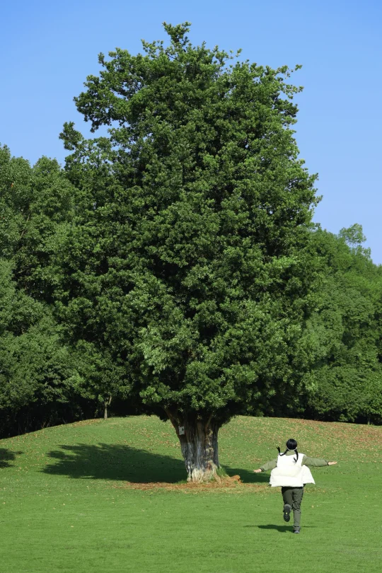 一切都很好 我听到自己向上的声音