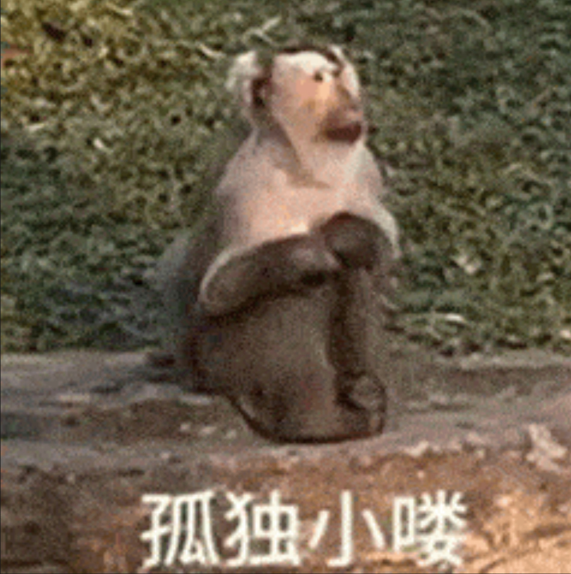 这么算下来，你单身多少年啦？  