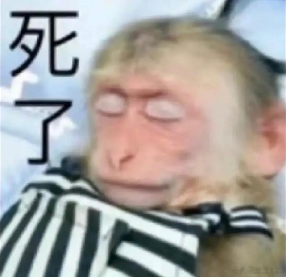 小时候听爸妈脚步声上学听班主任脚步声现在上班了听领导脚步声当牛马是我的命运我了解