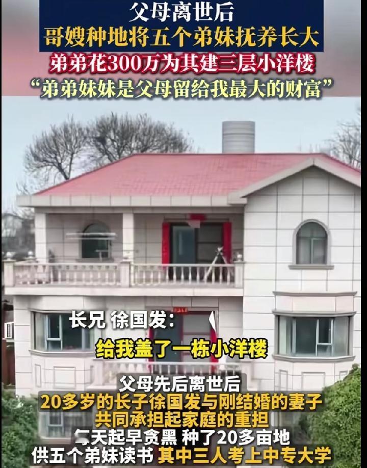 父母双亡，哥嫂扛下一切！弟妹斥300万盖别墅报恩，这才是最动人的亲情
 
总说血