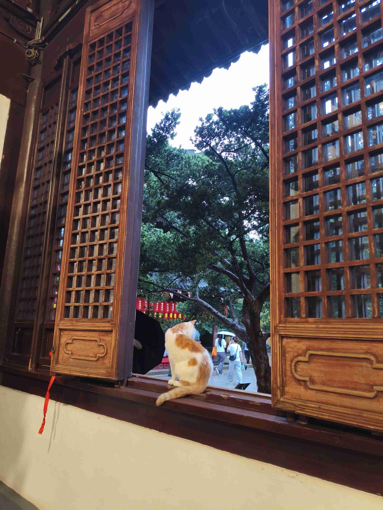 20260719
——下周预计划

转债打新：
7.20日，久吾转02，正股久吾