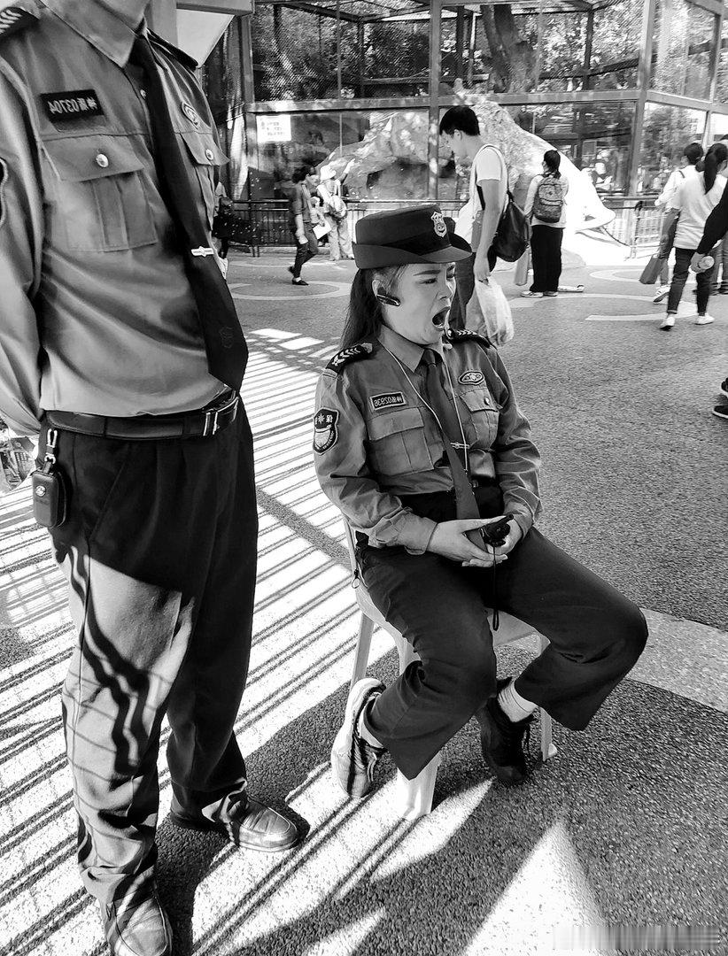 摄影人  街拍厦门：王鹭佳2026在路上？摄影人选择了人文纪实摄影，也就记录了生