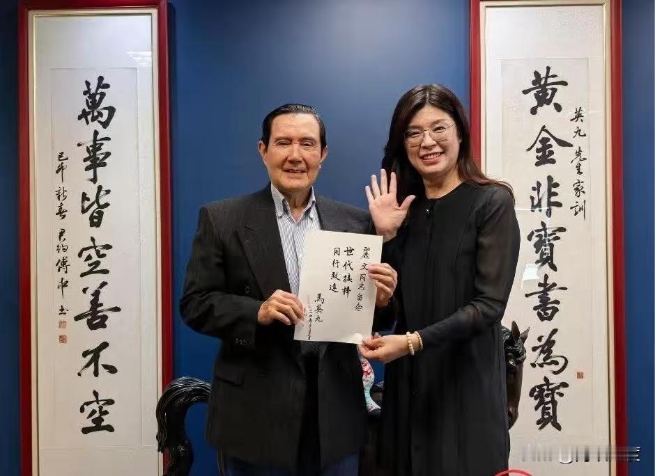 郑丽文现年56岁，但在普遍老龄化的国民党队伍里，仍然属于青壮年，比其他人更有活力