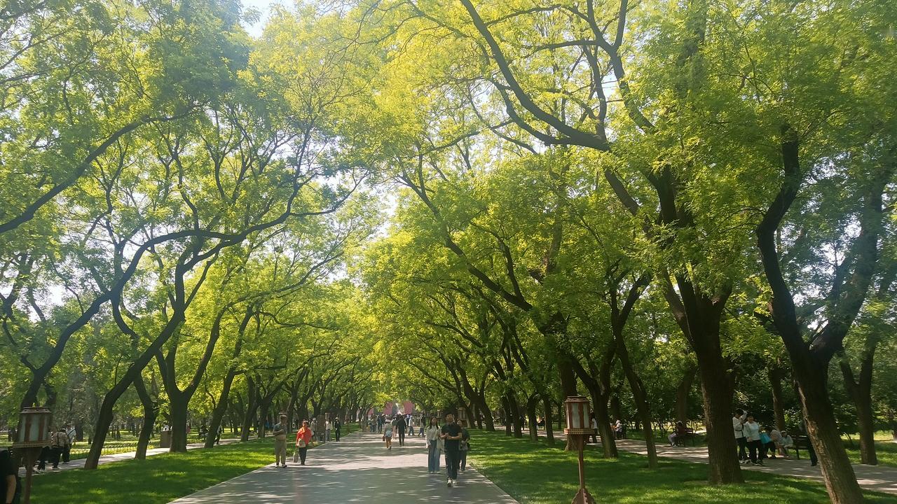 相册里的花花草草天坛公园