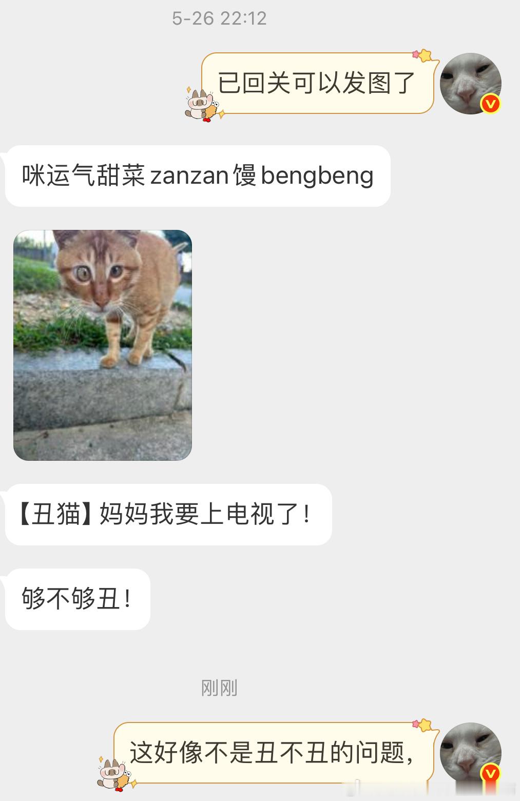 【非】我已占据智商高地 