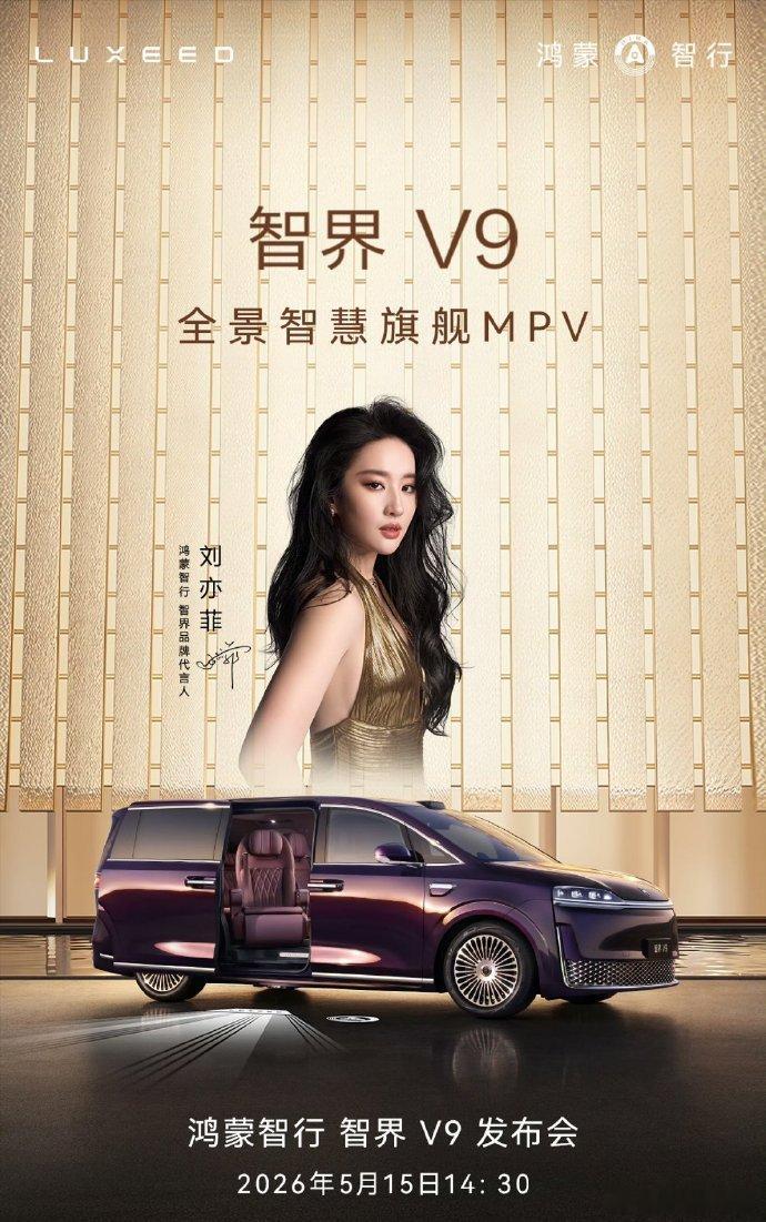 MPV市场某种意义上其实还是一个小蓝海，因为这个市场本身不算大，所以很难成为各家